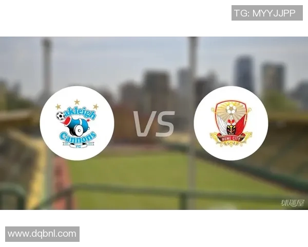 休城对决欧克莱卡诺精彩赛事分析与战术探讨